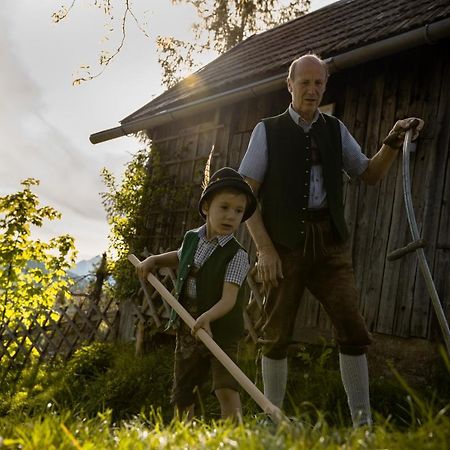 Vila Lutzmannhof Irdning Exteriér fotografie