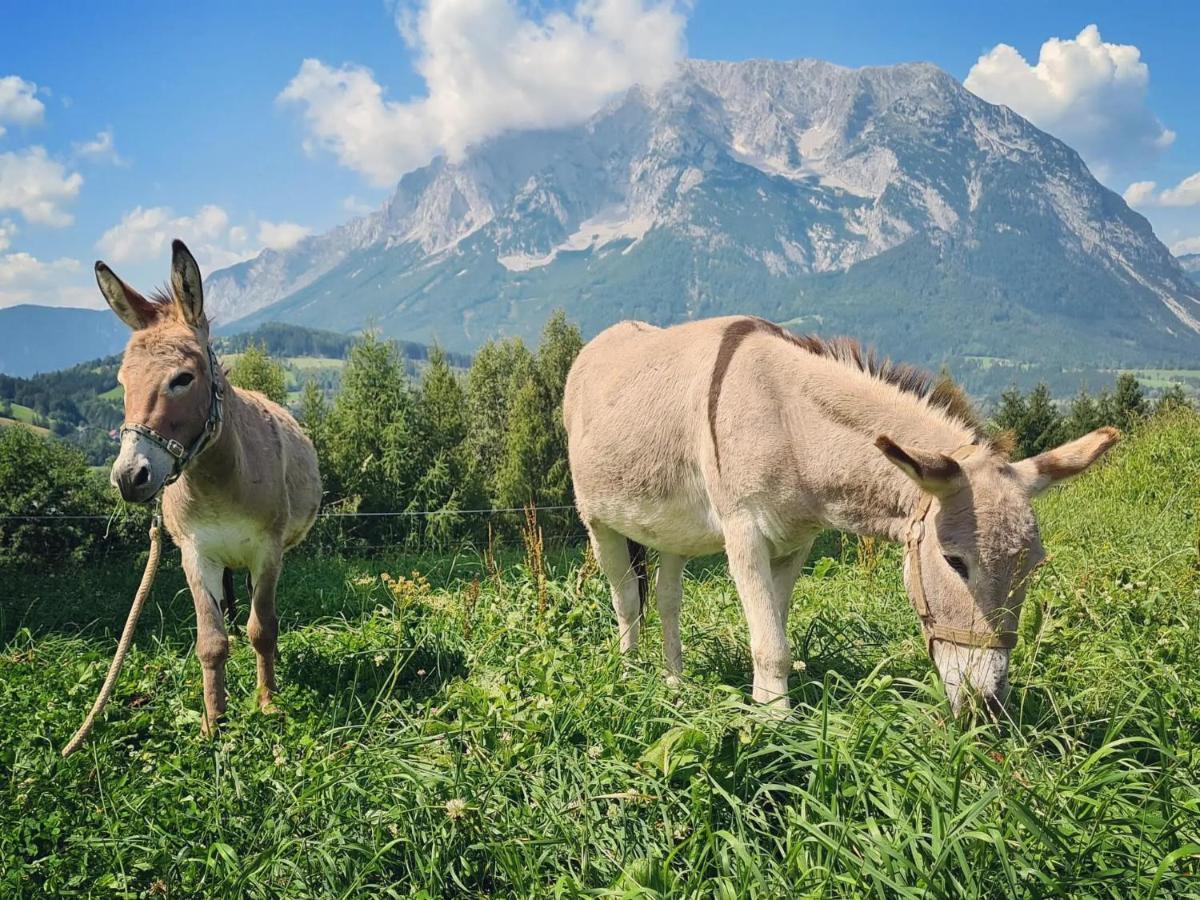 Vila Lutzmannhof Irdning Exteriér fotografie