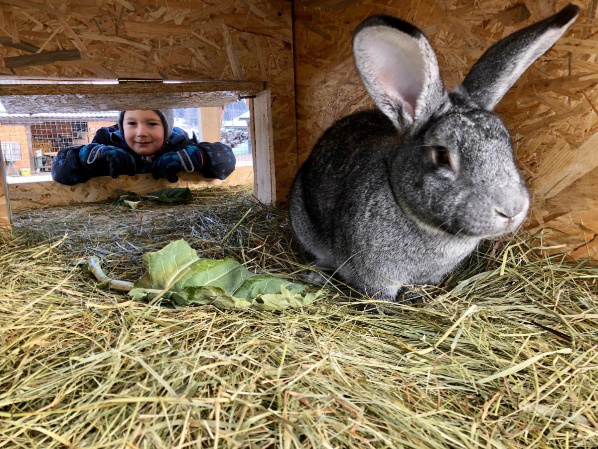 Vila Lutzmannhof Irdning Exteriér fotografie
