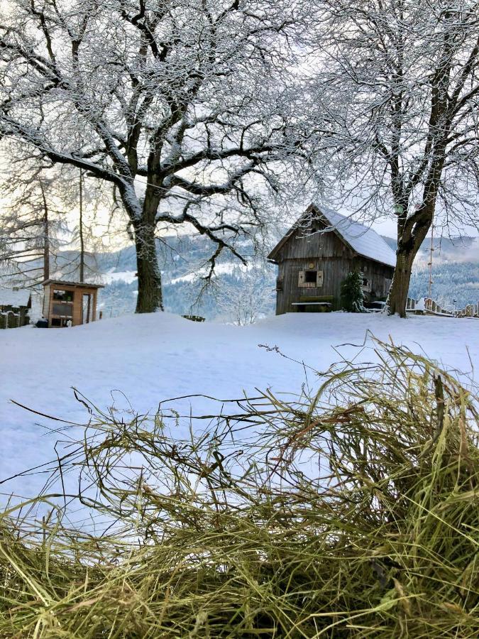 Vila Lutzmannhof Irdning Exteriér fotografie