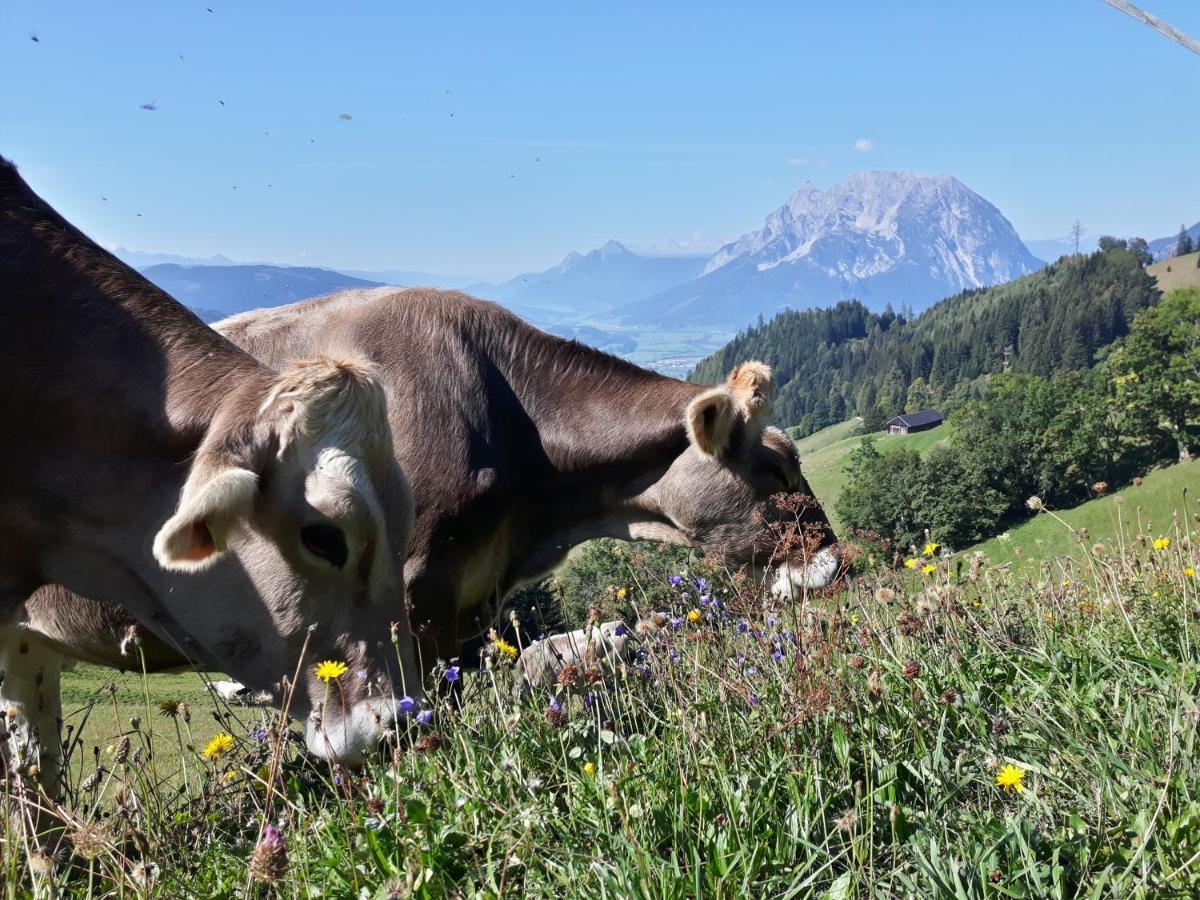 Vila Lutzmannhof Irdning Exteriér fotografie