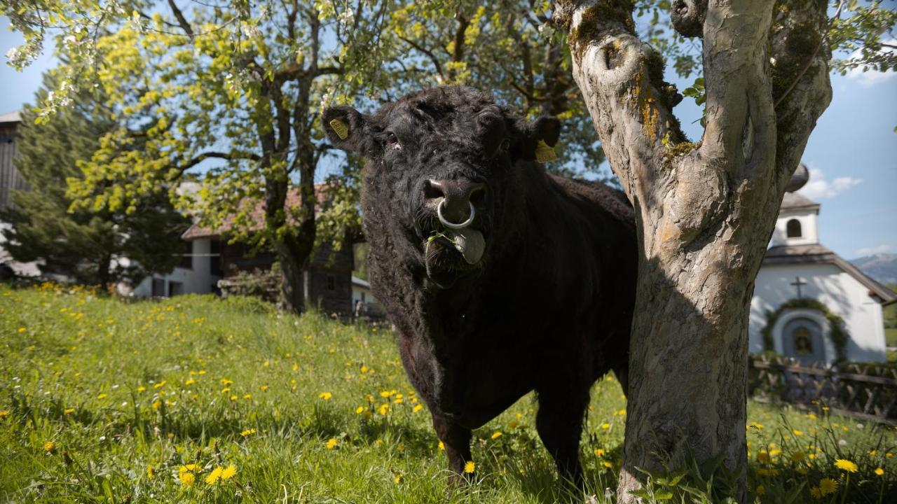 Vila Lutzmannhof Irdning Exteriér fotografie