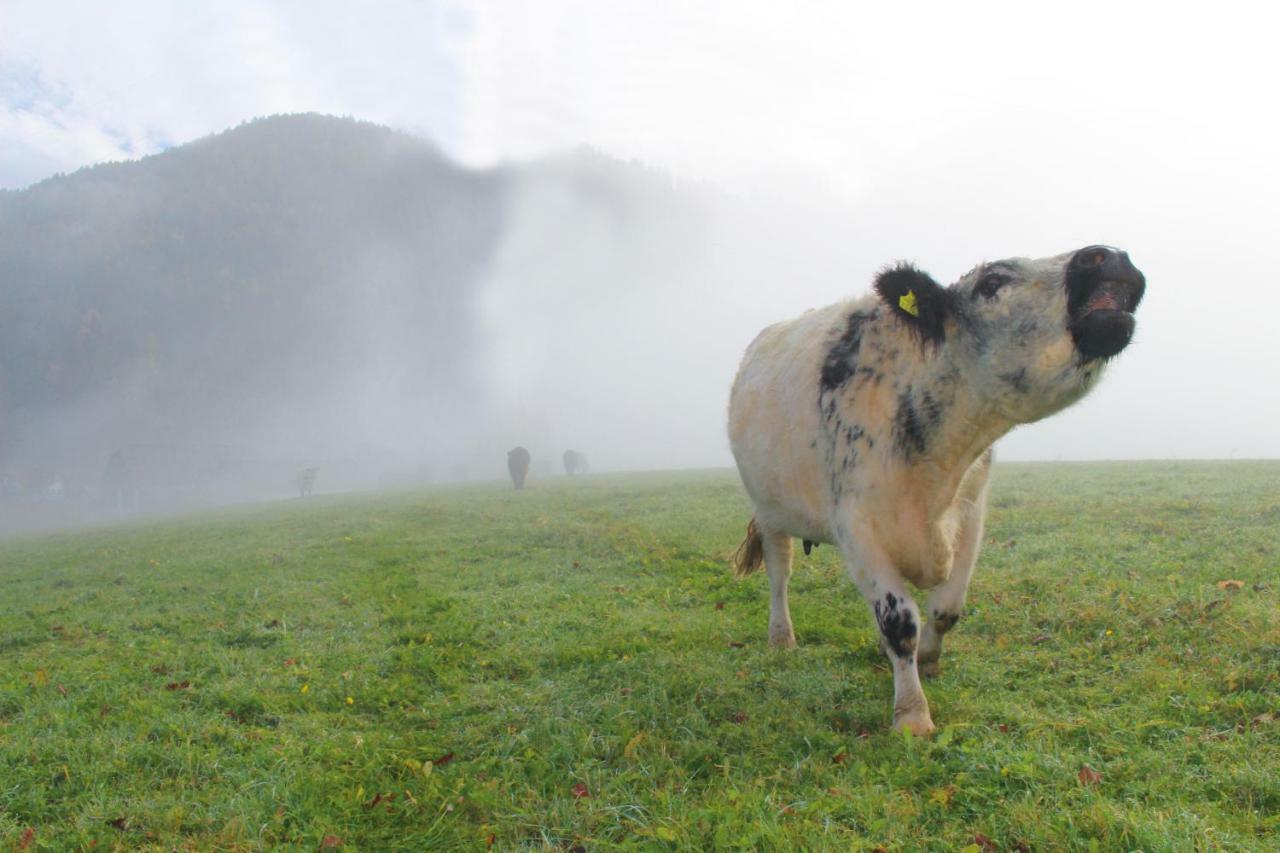 Vila Lutzmannhof Irdning Exteriér fotografie